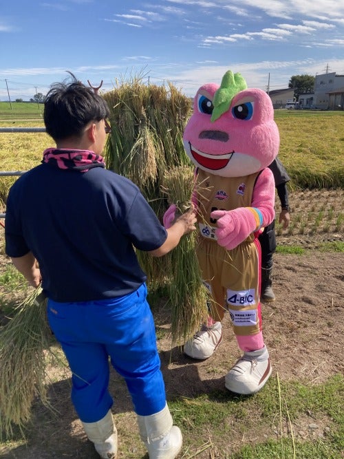 稲架掛け作業